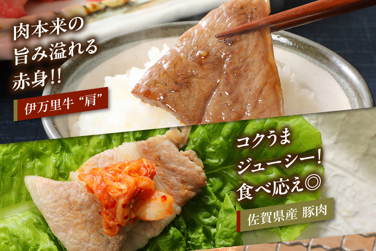 バラエティ美味 焼肉セット 牛肉 豚肉 鶏肉 1.1kg 006-J1852