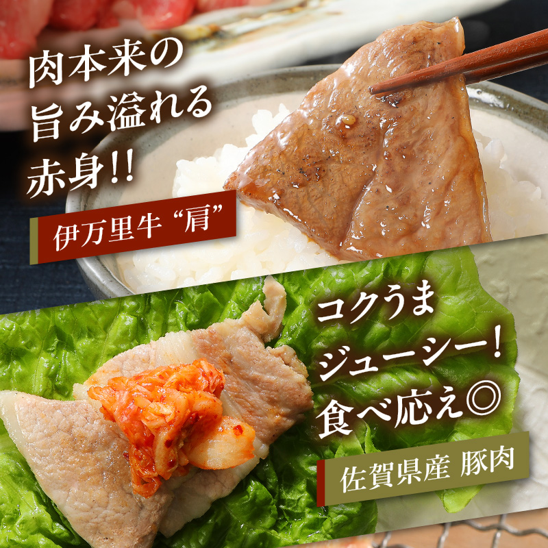 バラエティ美味 焼肉セット 牛肉 豚肉 鶏肉 1.1kg 006-J1852