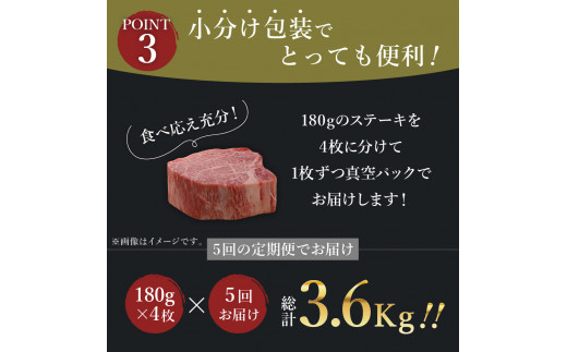 【全5回 定期便】佐賀牛 ヒレ ステーキ 総計3.6kg 999-J412