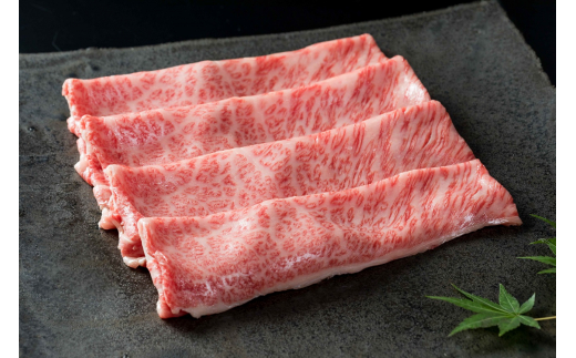 【全6回】佐賀牛 定期便 総計6.05kg 999-J474