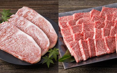 伊万里牛美味プレミアム 定期便 10回便 ヒレ ステーキ 焼肉 すき焼き しゃぶしゃぶ 999-J620