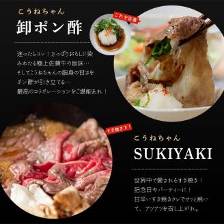 佐賀牛切り落としコウネちゃん600g 161-J787