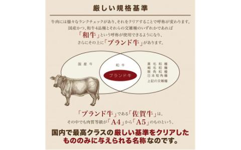 佐賀牛 切り落とし 500g 161-J879