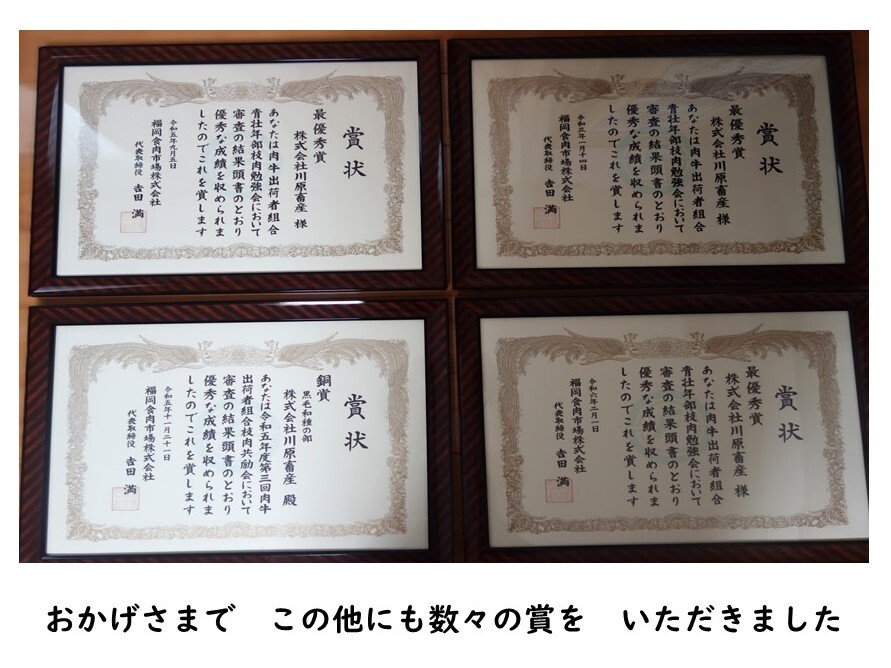 特選伊万里牛A5 ひき肉500g 176-J999