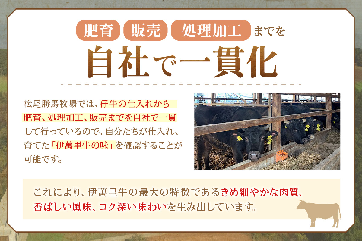 伊万里牛 切り落とし 500g すき焼き 牛丼 カレーにも 007-J1763