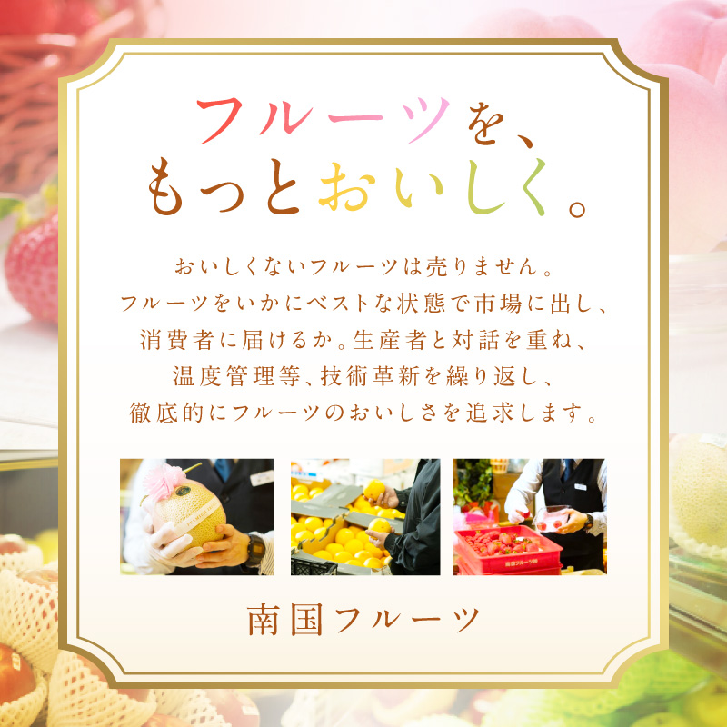 佐賀産 柑橘 「はまさき」 約1.5kg箱 (4-7玉) 147-B806