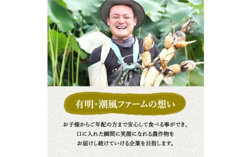 佐賀牛入り 特製 ハンバーグ 約120g×12個 180-J1931