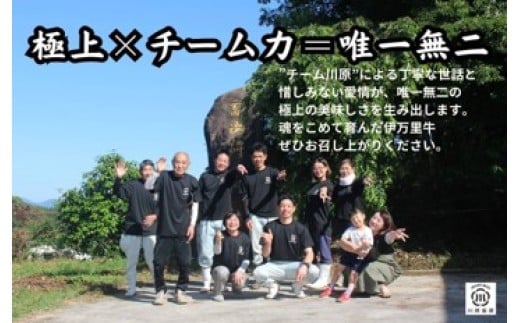 伊万里牛肩薄切り 500g 【川原畜産】 208-J1684