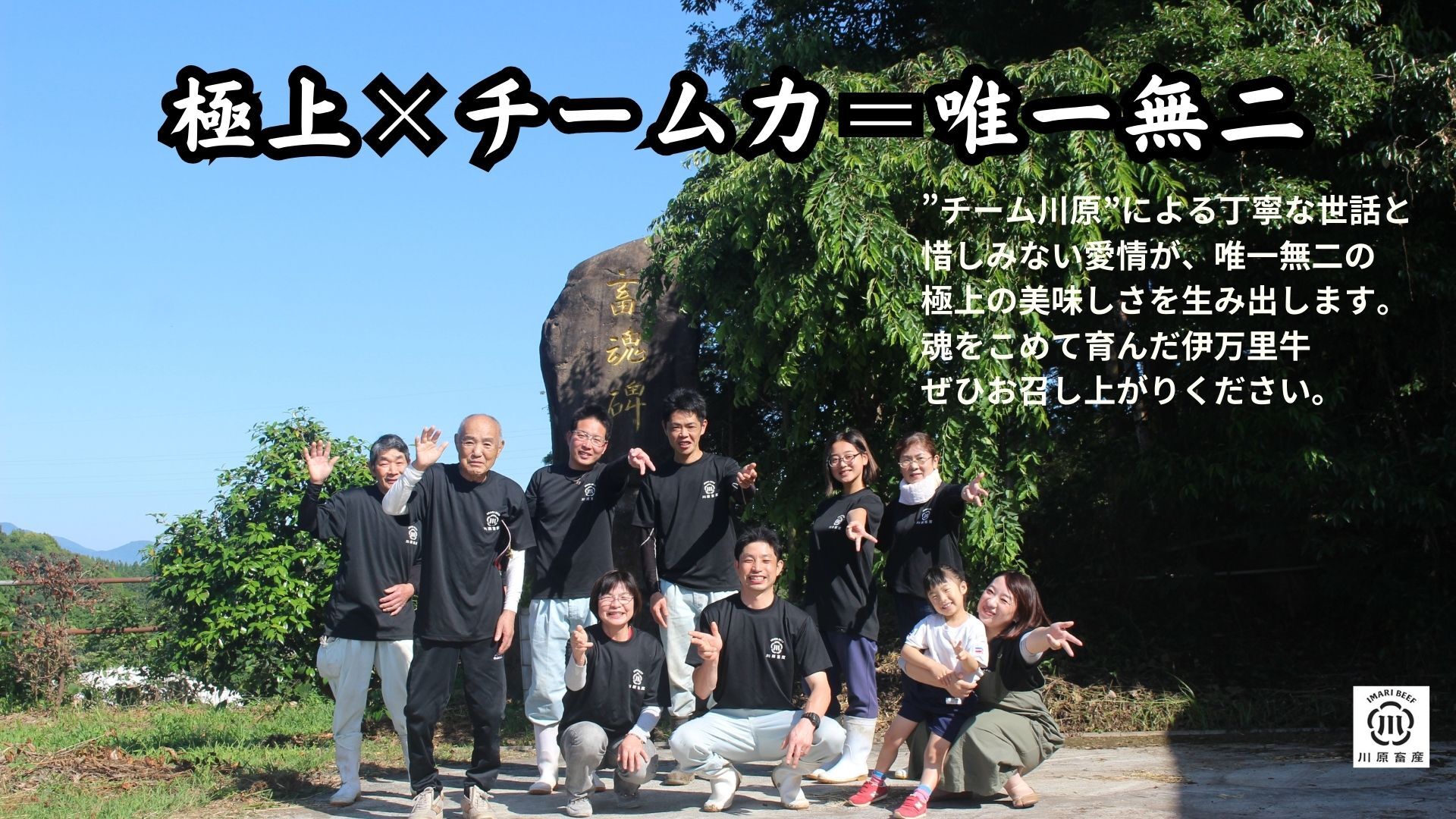 伊万里牛肩薄切り 500g 【川原畜産】 208-J1684