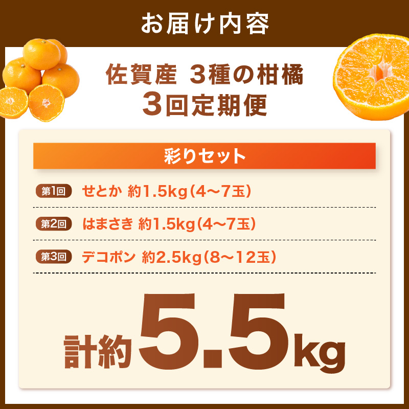 佐賀産 柑橘定期便 彩りセット【全3回】 せとか はまさき デコポン 999-B859