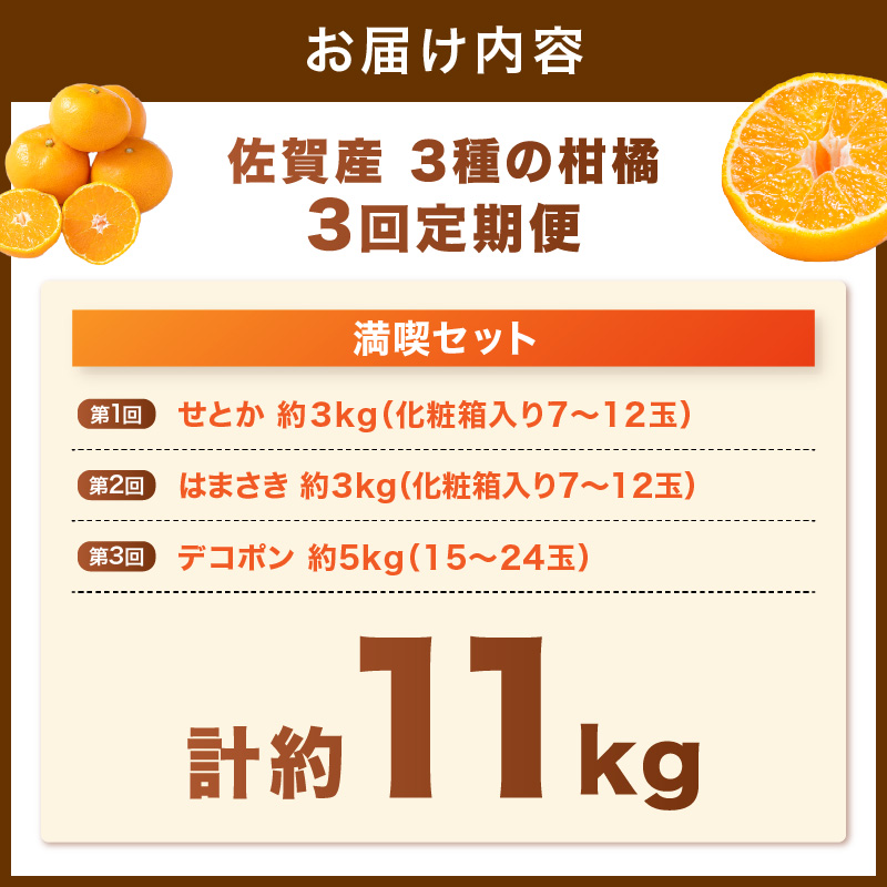 佐賀産 柑橘定期便 満喫セット【全3回】 せとか はまさき デコポン 999-B860