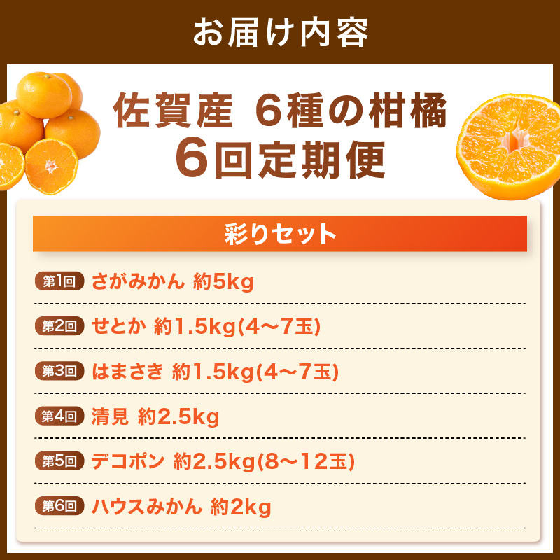佐賀産 柑橘6種定期便 彩りセット【全6回】999-B861