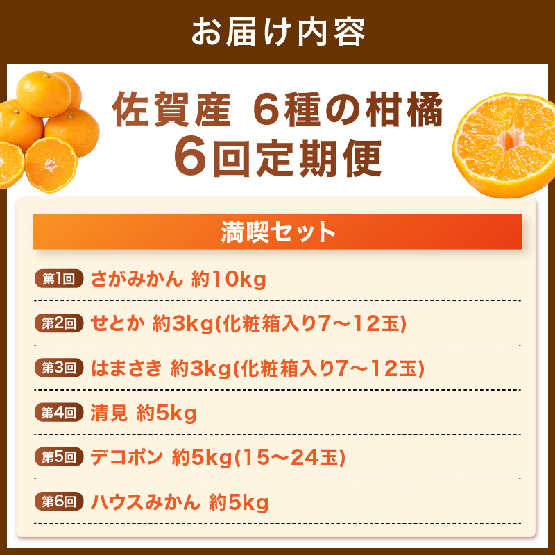 佐賀産 柑橘6種定期便 満喫セット【全6回】999-B862