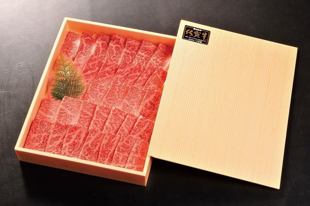 【6ヶ月定期便】2ヶ月に1度お届け 佐賀牛 赤身定期便 モモ・ヒレ・焼肉 999-J1741