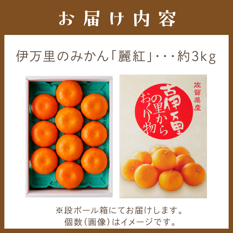 伊万里のみかん「麗紅」3kg化粧箱 003-B129