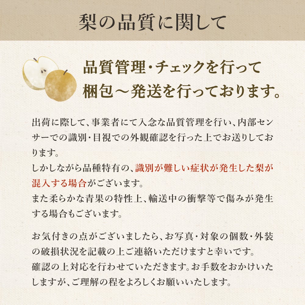 【2026年産先行予約】伊万里梨 「幸水」 約5kg ご自宅用におすすめ 178-B938