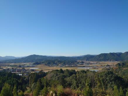 【数量限定】伊万里産急速冷凍いちご1kg ～鶴田農園～ 046-B383