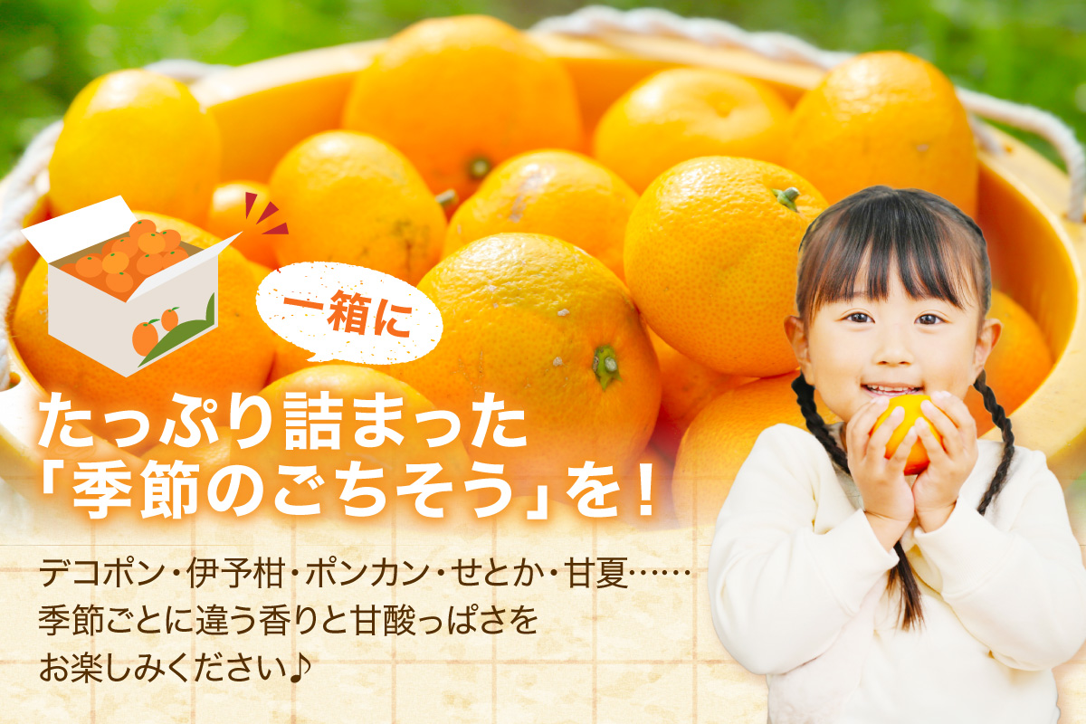 佐賀の旬の柑橘をお届け 佐賀産かんきつ5kg 147-B397