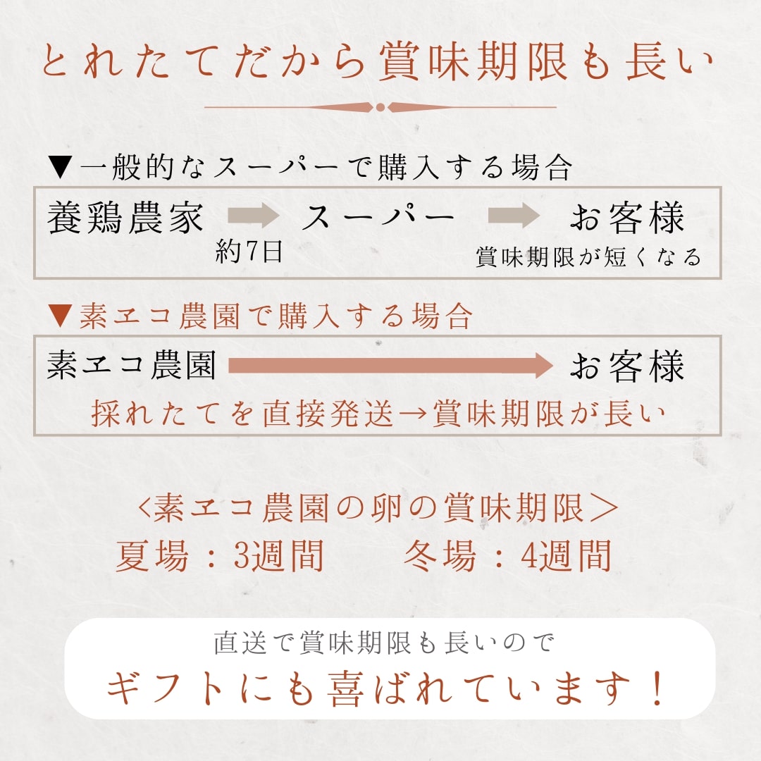 平飼いで のびのび養鶏！ばあちゃんの昔たまご（計60個）平飼い卵 割れ保証あり 129-B613