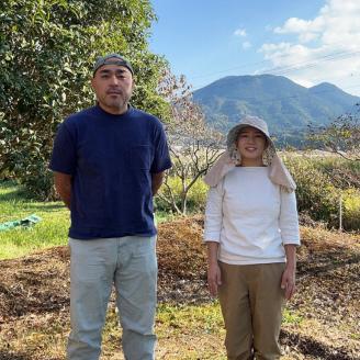 【先行受付　令和8年3月より順次発送】野菜ソムリエサミット 2024年3月度『金賞』受賞 《梅村農園のアスパラガス》 500g 174-B537