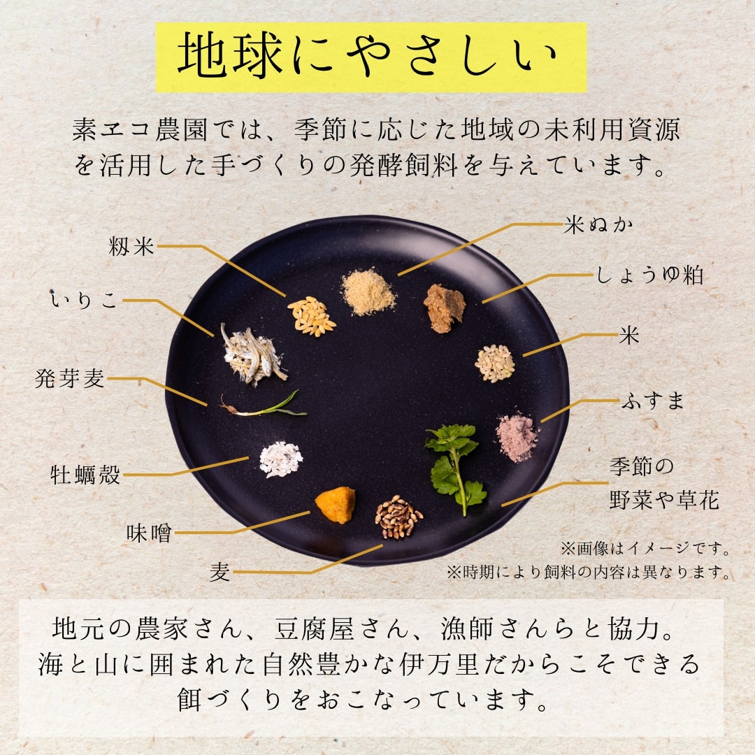 【3回定期便】平飼いで のびのび！ばあちゃんの昔たまご 40個/月 割れ保証あり 999-B618