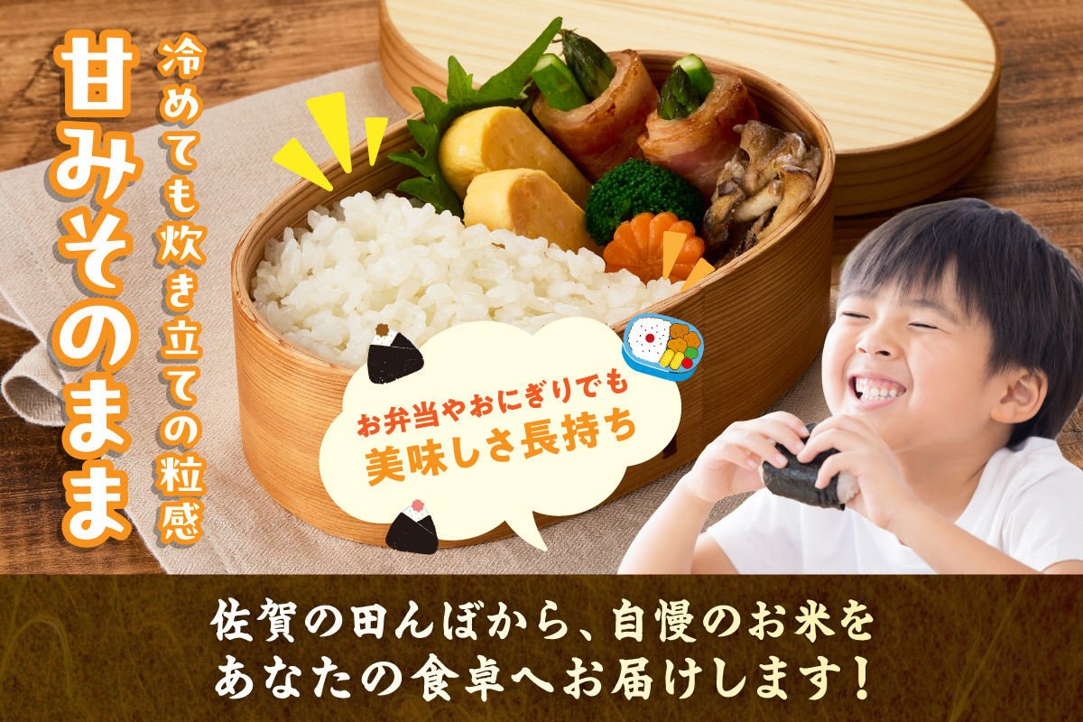 令和7年産 【定期便】《無洗米》さがびより 5kg×3回 999-B909