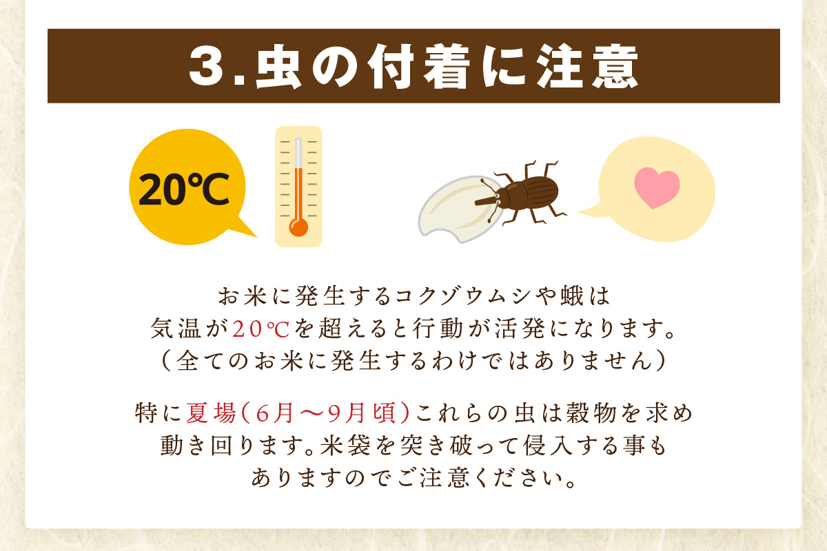 令和7年産 【定期便】無洗米 さがびより 2kg×3袋×5回 999-B913