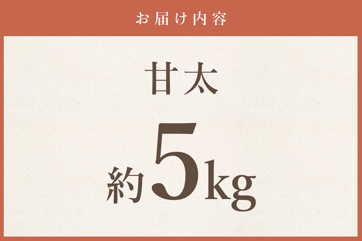 【2026年産先行予約】伊万里梨 「甘太」 約5kg ご自宅用におすすめ 178-B941