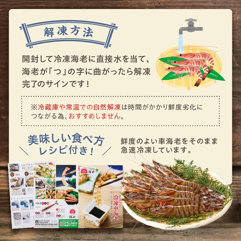 伊万里産 お刺身用冷凍ジャンボ車海老（250g×2） 010-C166