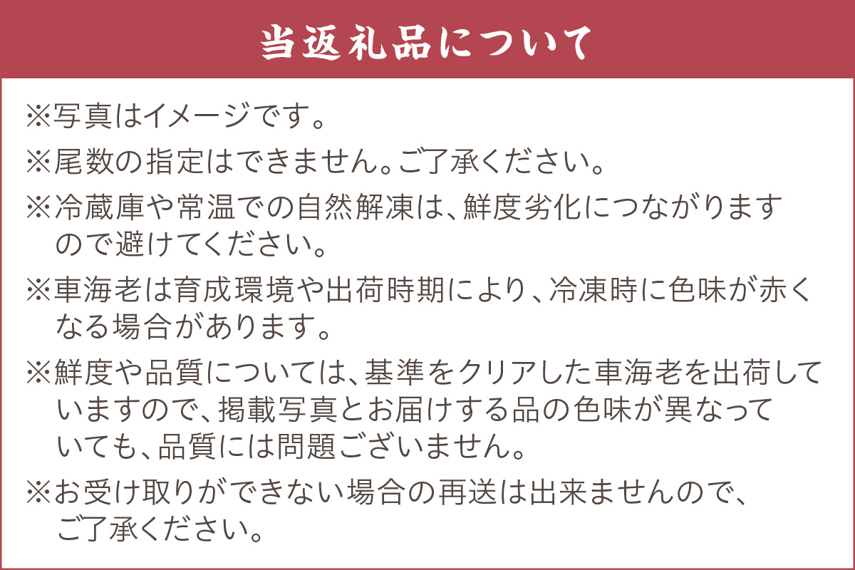 伊万里産 冷凍車海老（訳あり、加熱用、250gx2pc） 010-C198