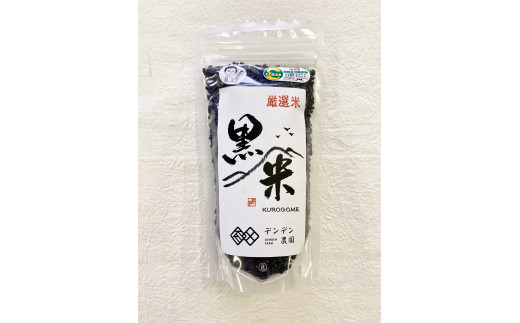 伊万里 ご当地 カレー セット 113-G224