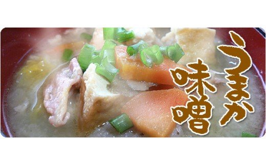 ふるさとの味バラエティセット 味噌 醤油 味噌汁！ 009-G312