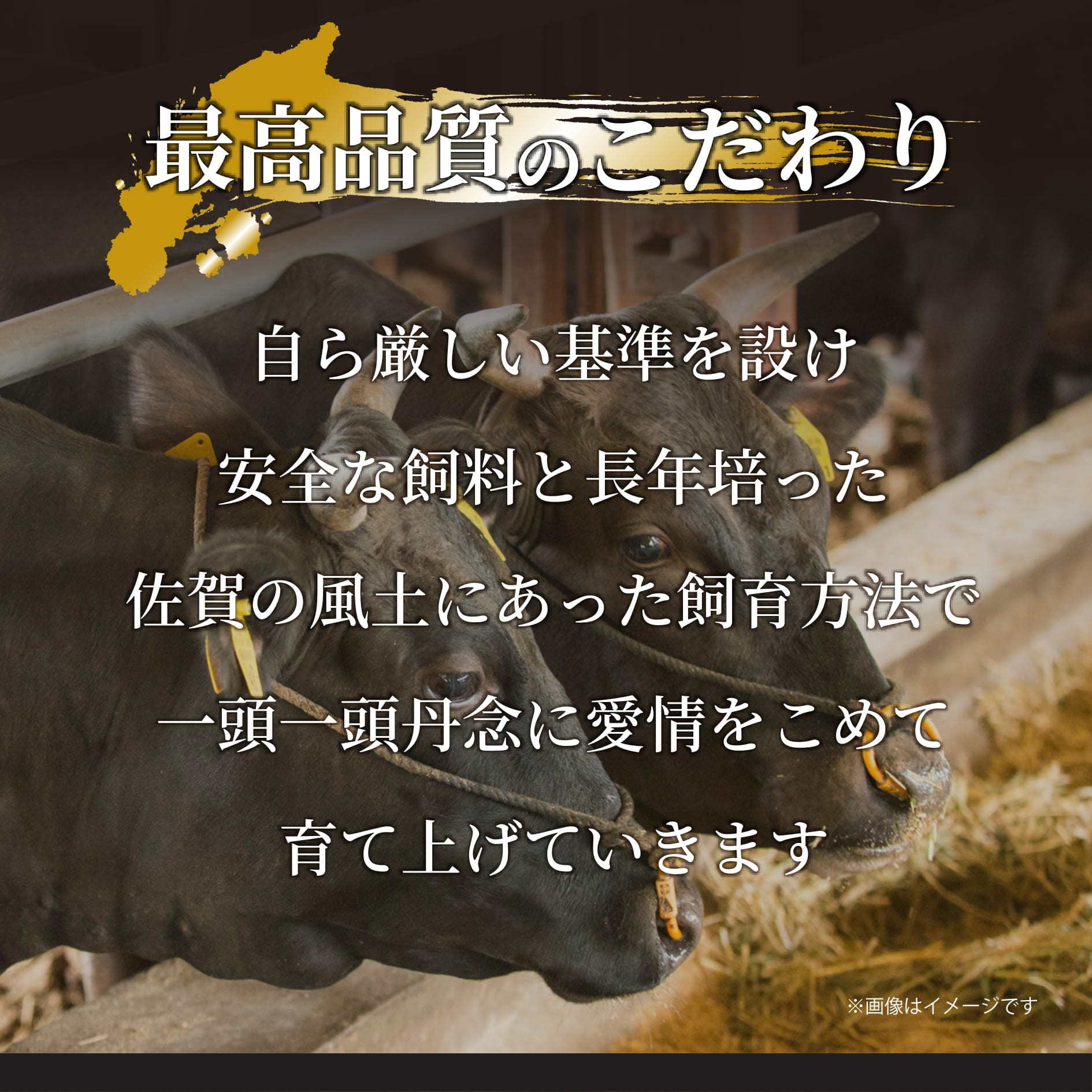 佐賀産和牛 訳あり 切り落とし 600g 159-J1698