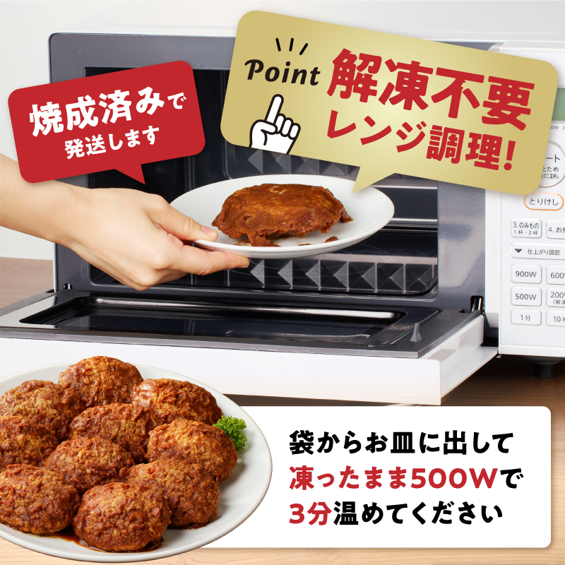 【伊万里牛100%使用】 ハンバーグ セット（プレーン7個&デミ5個） 183-J1245