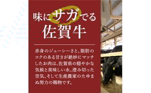佐賀牛入り 特製 ハンバーグ 約120g×20個 180-J1349