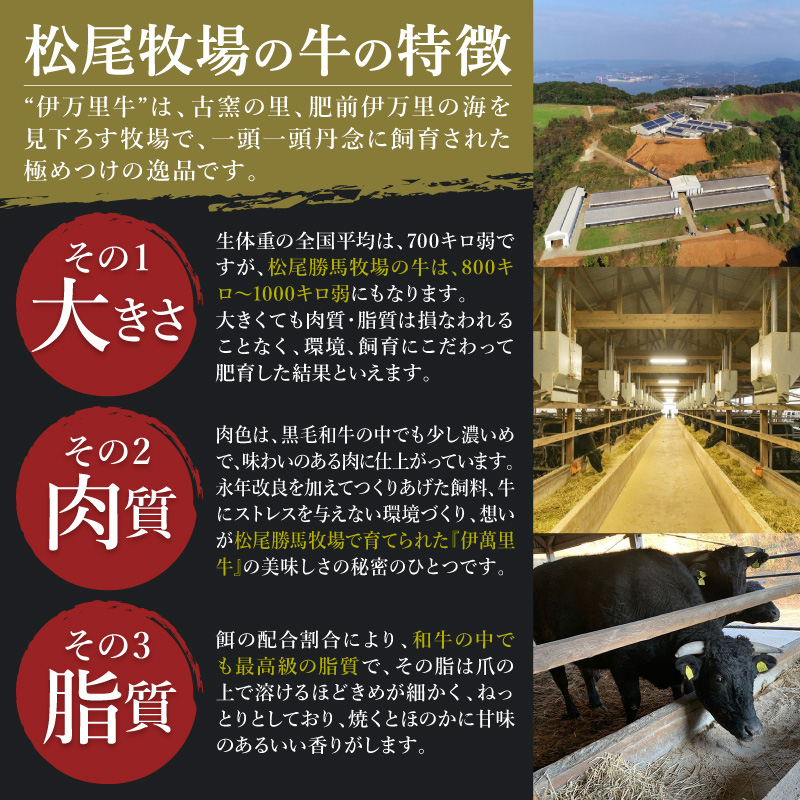 定期便 もつ鍋 & 牛バラ肉すき焼き よくばり2回便 999-J1755