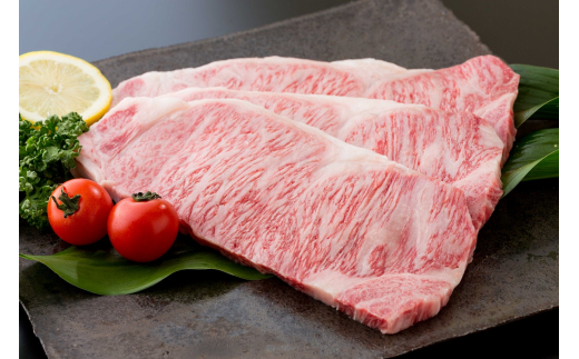 【全6回】佐賀牛 定期便 総計6.05kg 999-J474