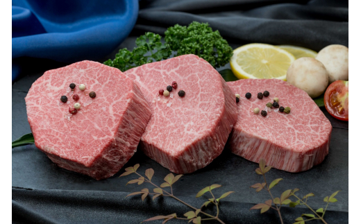 【全12回】毎月お届け 佐賀牛 定期便 総計15.5kg 999-J475