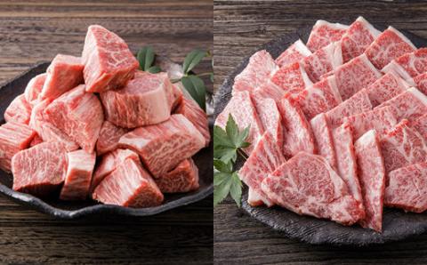 伊万里牛美味プレミアム 定期便 10回便 ヒレ ステーキ 焼肉 すき焼き しゃぶしゃぶ 999-J620