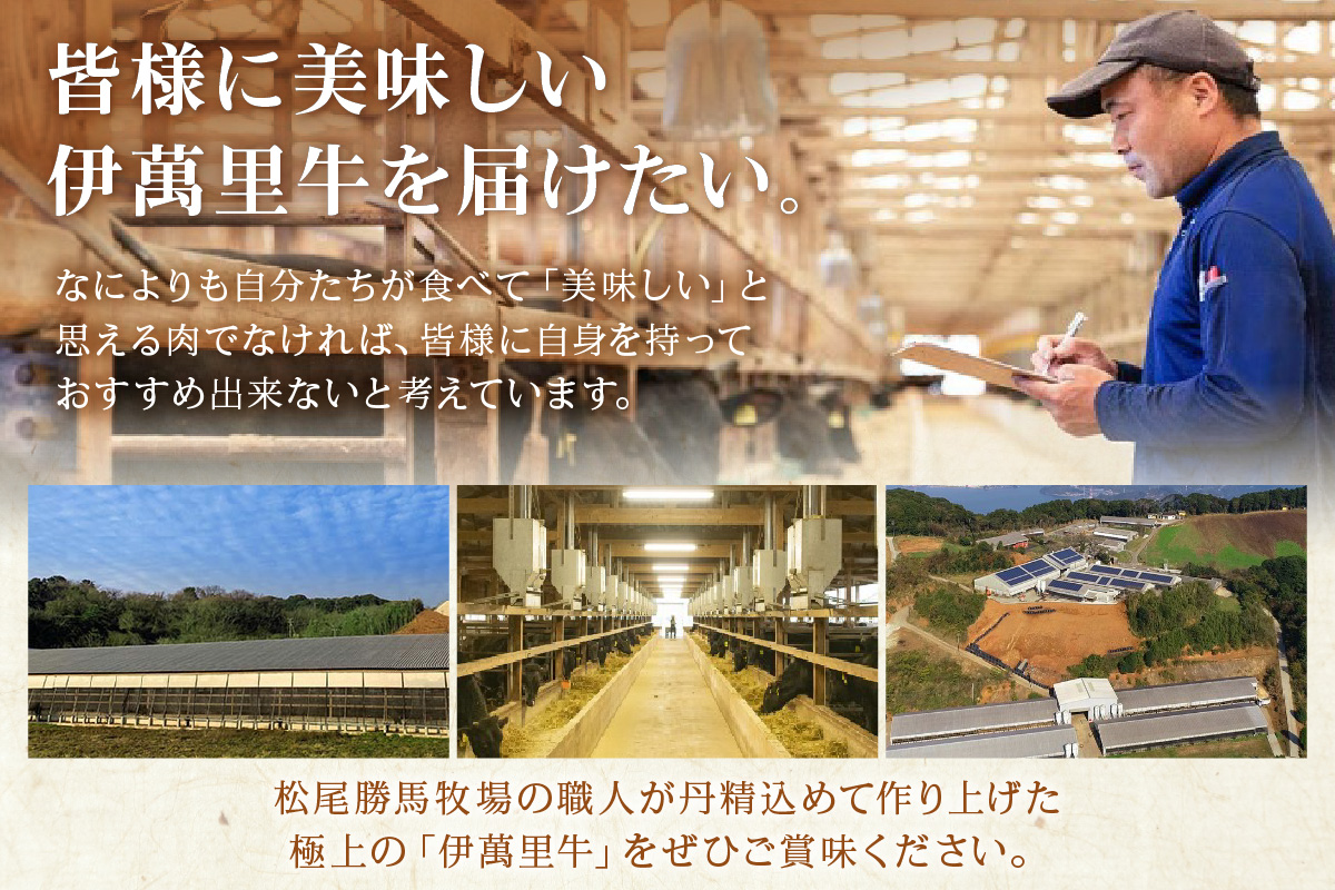 伊万里牛ミックスホルモン 約600g ホルモンたれ付 007-J1761