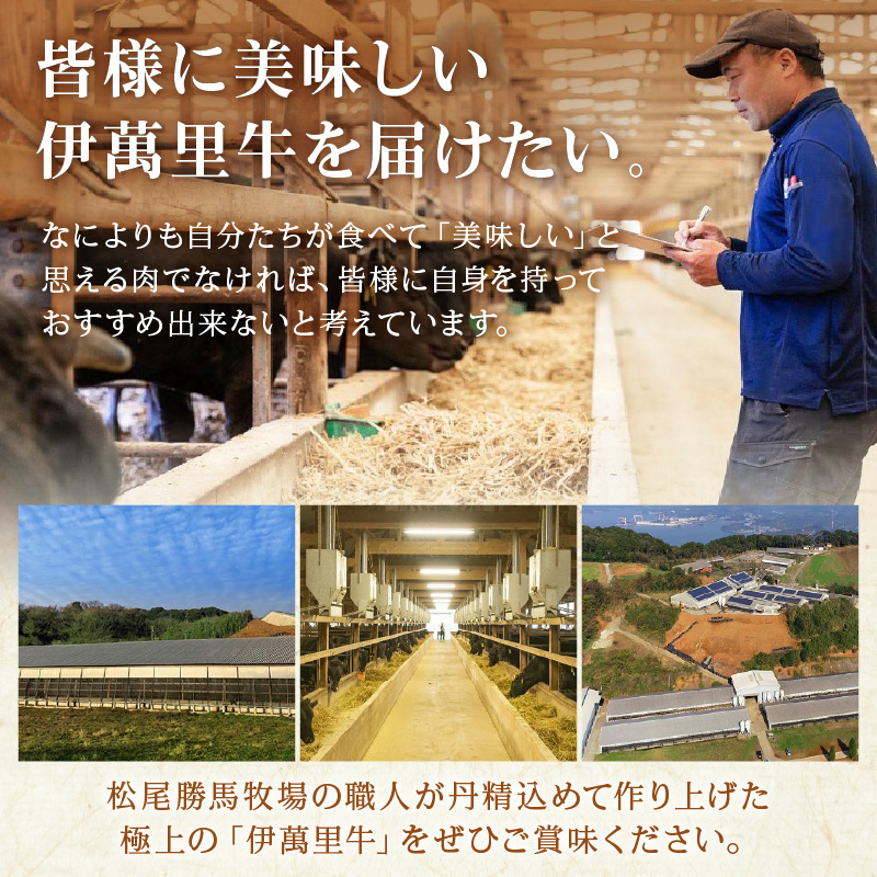 定期便 伊萬里牛バラエティーセット 3回便 999-J1757