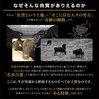 佐賀牛ヒレステーキ200g×2 161-J781