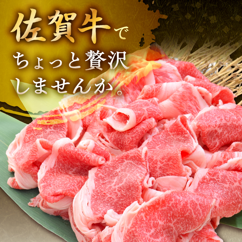 佐賀牛 切り落とし 500g 149-J1978