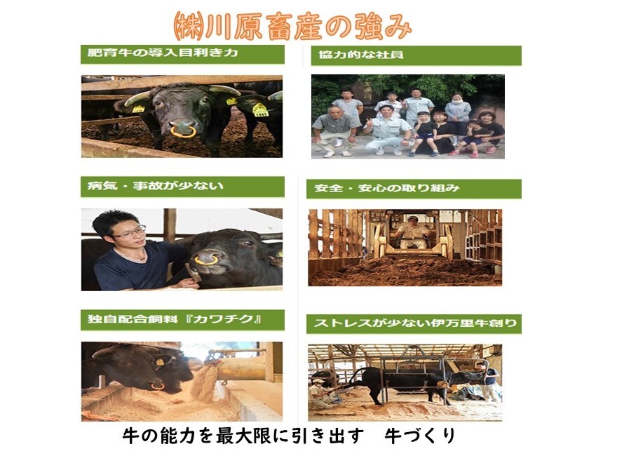 特選伊万里牛A5 肩ローススライス500g 176-J984