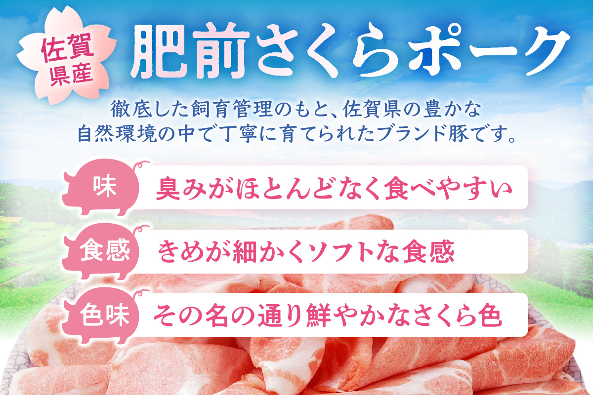 佐賀県産 豚肉 肥前さくらポーク ローススライス 約1.3kg 180-L043