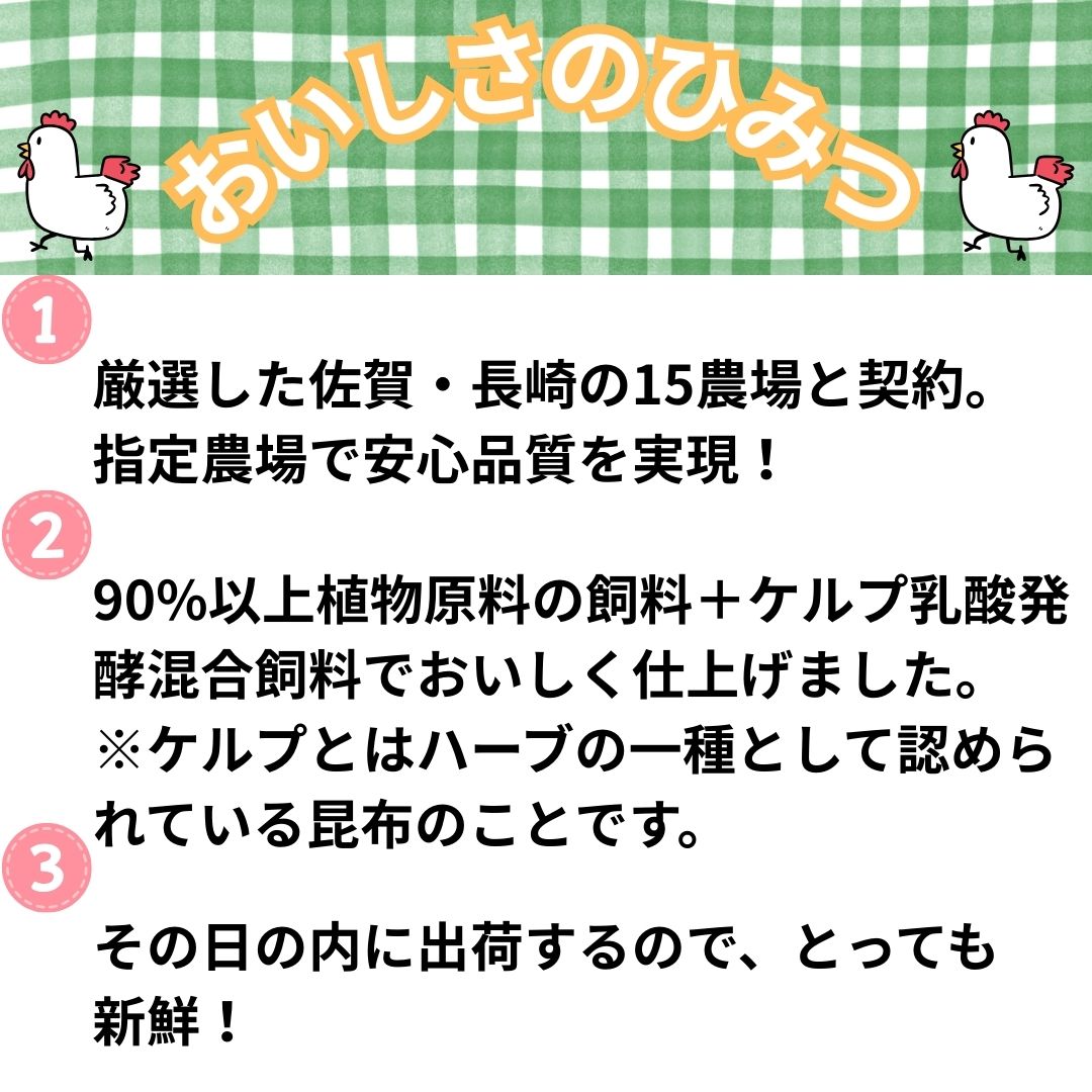 小分けで便利！いろいろな料理に大活躍 佐賀県ブランド鶏ありたどりむね肉合計3kg300g×10P 188-L053