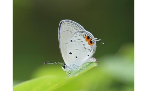 南波多町まちづくり運営協議会の活動を応援！【思いやり型返礼品（協賛型）】 123-O025