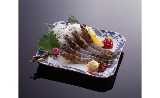 活車海老 250g 指定日可能【数量限定 先行予約】（12月1日から配送開始） 010-C227