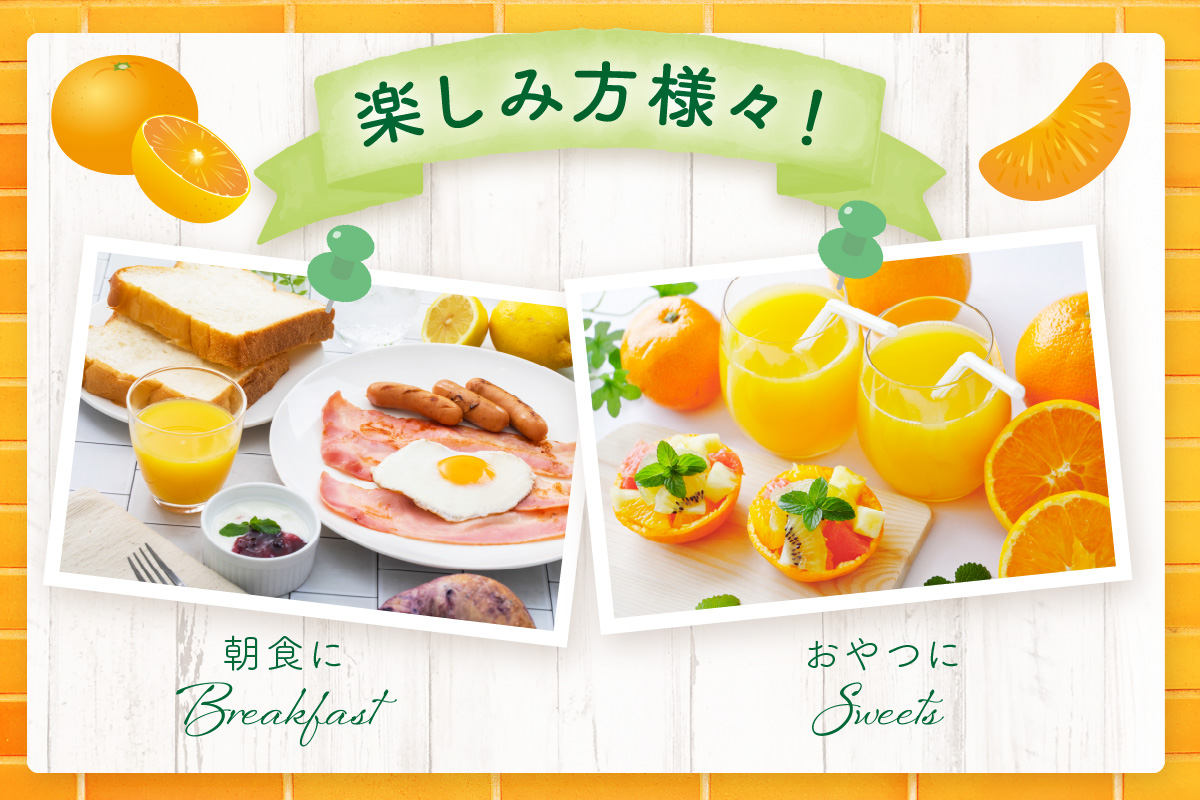 【佐賀県産温州みかん使用】 みかんジュース さがみかん100%搾り 330ml×12本入り 2箱セット 173-A056