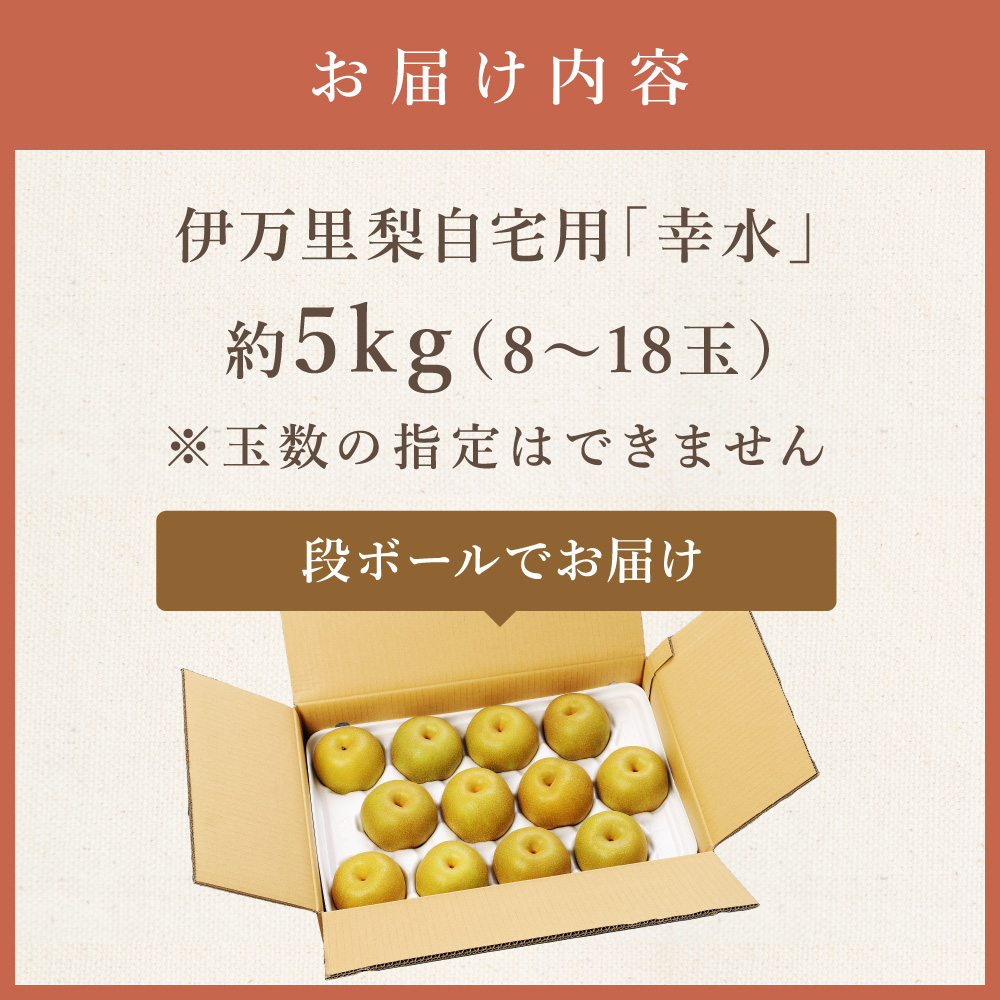 【2026年産先行予約】伊万里梨 「幸水」 約5kg ご自宅用におすすめ 178-B938